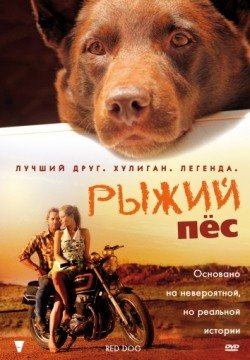 Рыжий пес (2011) смотреть онлайн в HD 1080 720